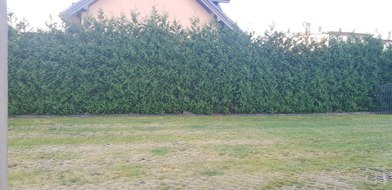 Władysławowo科瓦尔奇克旅馆公寓 外观 照片
